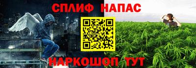 a pvp Будённовск