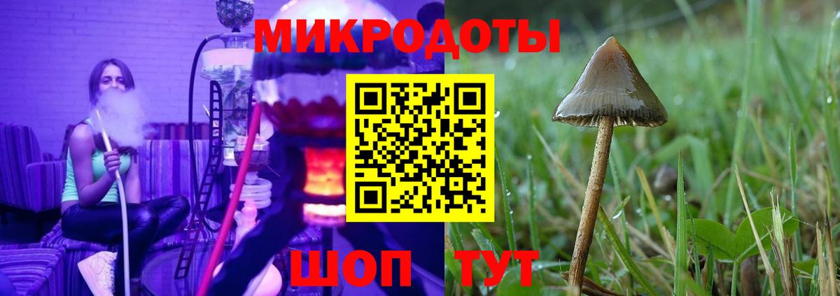 Кинешма  цены   Вход с VPN  Псилоцибиновые грибы Psilocybine cubensis 