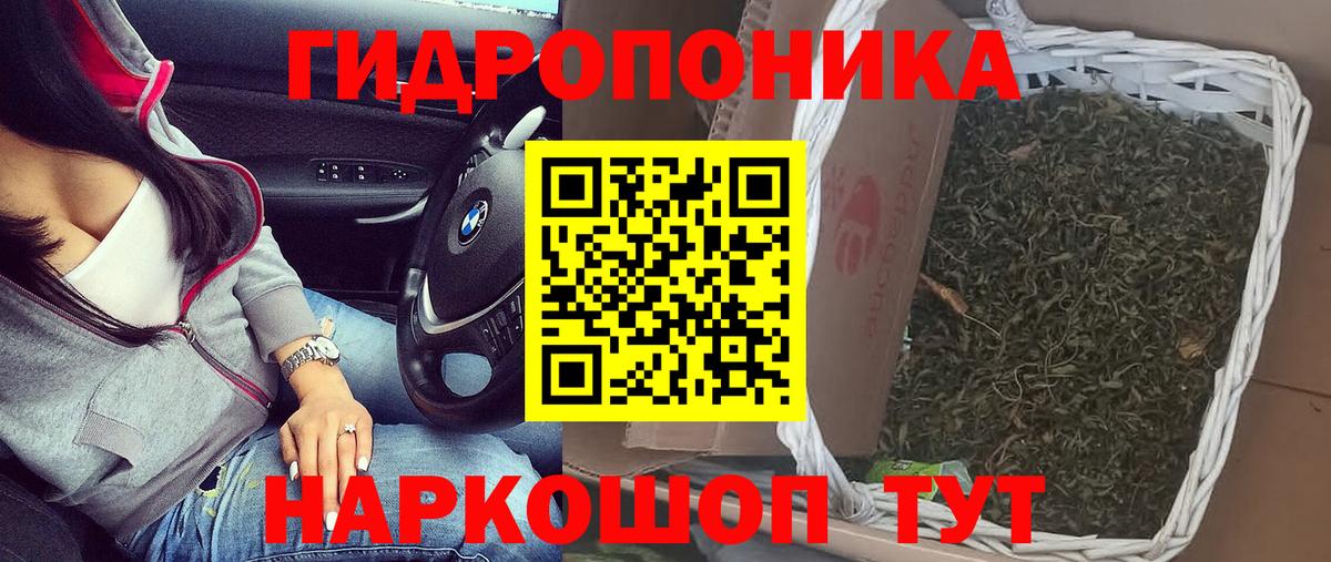 Каннабис марихуана  Вход с VPN  Кинешма  Канабис семена  Каннабис ГИДРОПОН  МАРИХУАНА план 